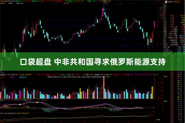 口袋超盘 中非共和国寻求俄罗斯能源支持