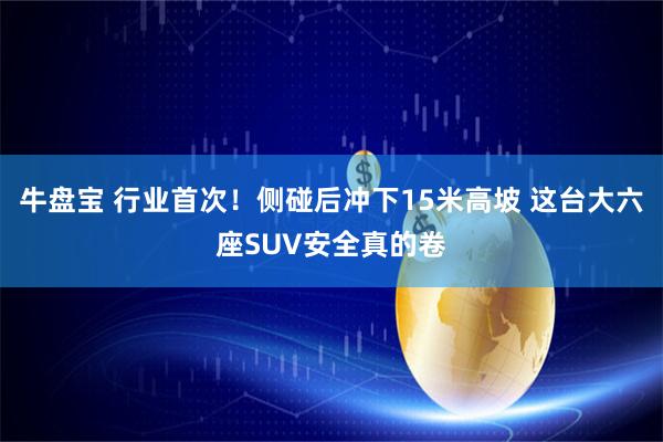 牛盘宝 行业首次！侧碰后冲下15米高坡 这台大六座SUV安全真的卷